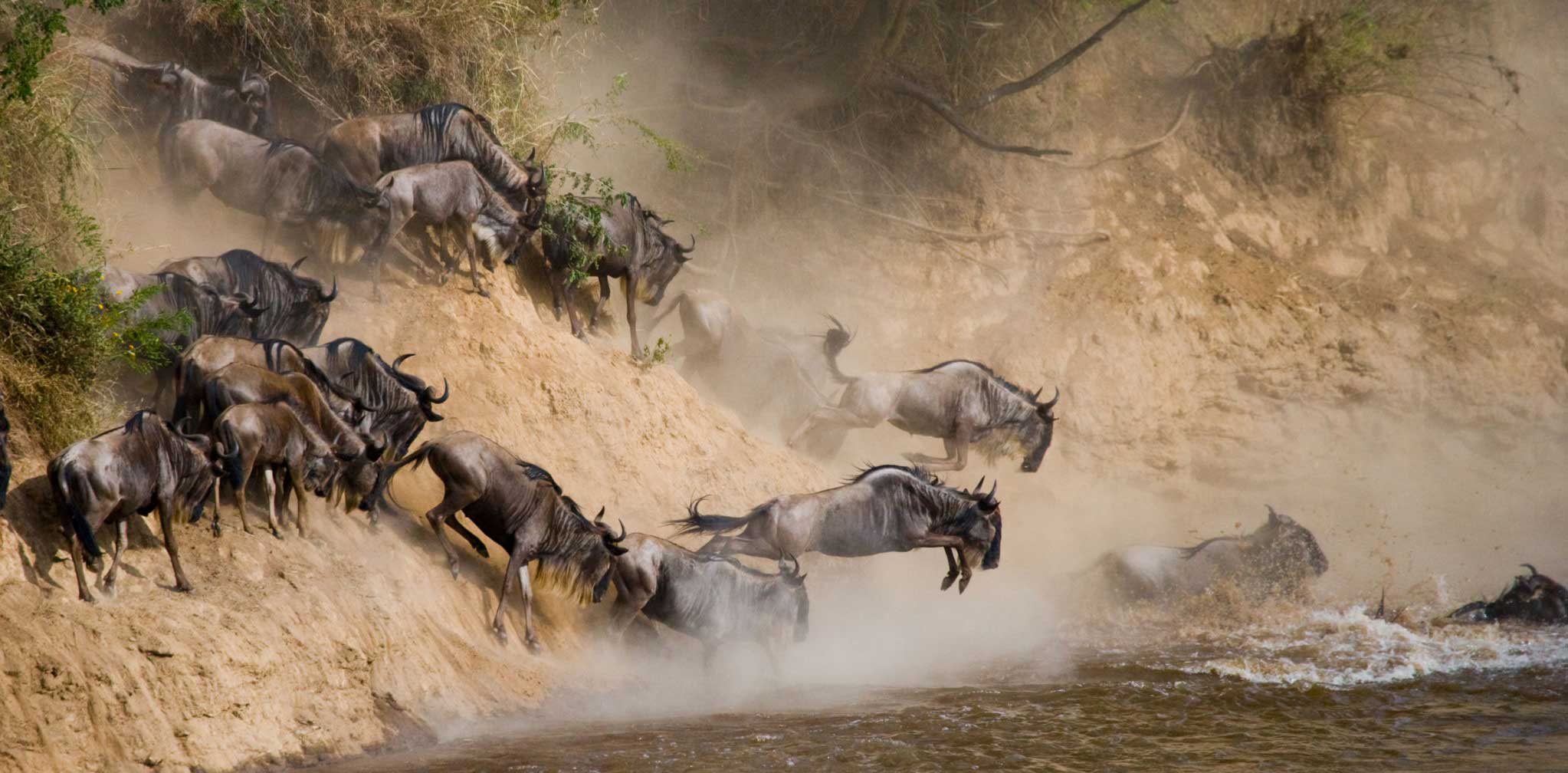Northern Serengeti Wildebeest Migration Safaris