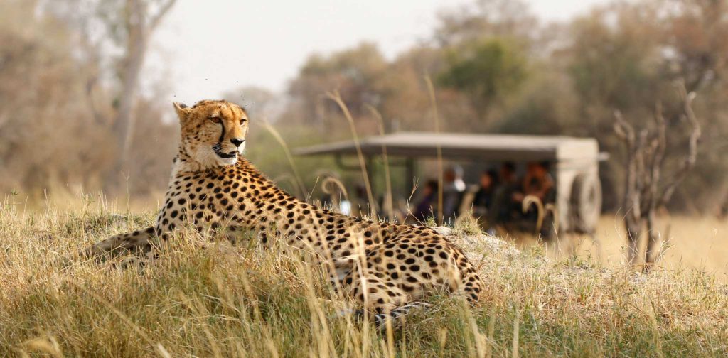 Tanzania Safari to Serengeti